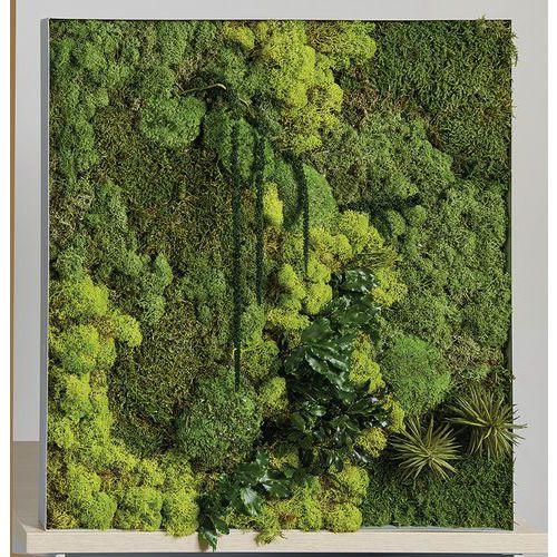 Illustration de : Cadre végétal n 20