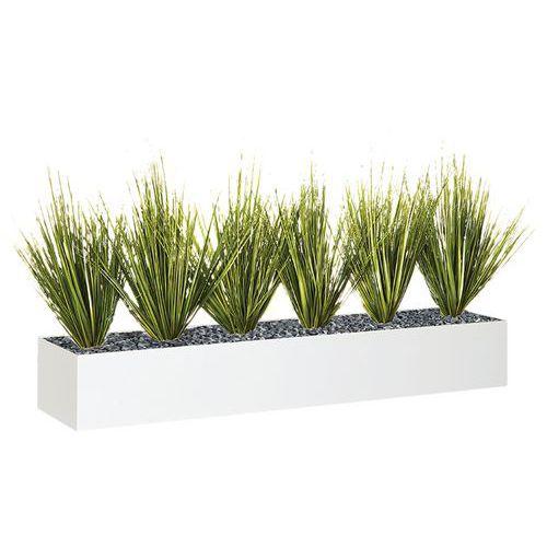 Illustration de : Jardinière basse JB12 Graminées