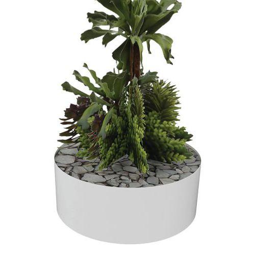 Composition SUCCULENTE 2 Ø 255 mm Blanc thumbnail image 1