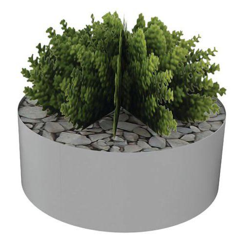 Illustration de : Composition SUCCULENTE 3