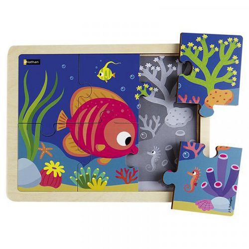 Le poisson tropical thumbnail image 1