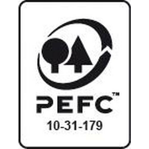 Illustration de : Ramette 250 feuilles 120 g A4 - Rey