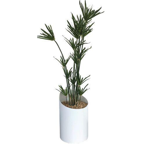 Illustration de : Bac VAGUE composition PAPYRUS