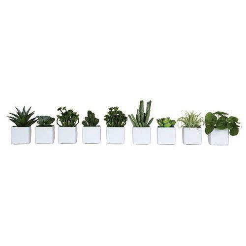 Lot de 9 pots carrés 7x7 blanc 9 plantes thumbnail image 1