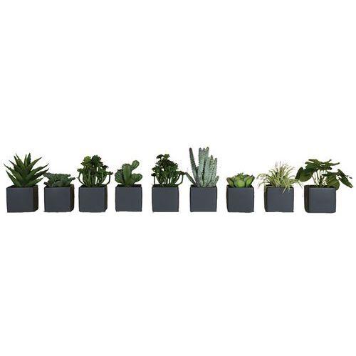 Lot de 9 pots carrés 7x7 gris 9 plantes thumbnail image 1
