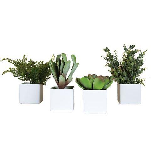 Lot de 4 pots carrés 11x11 blanc 4 plantes thumbnail image 1