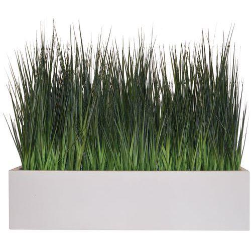 Illustration de : La jardinière graminée Tanaman