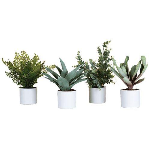 Lot de 4 pots cylindriques 4 plantes Tanaman thumbnail image 1