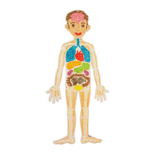 Illustration de : Kit playmais puzzle anatomique - PlayMais