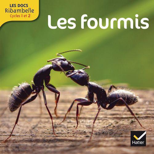 Illustration de : 4497251 RIBAMBELLE CYCLE 2 DOC