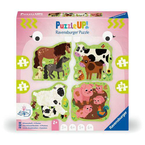Puzzle Up! 2 ans les animaux de la ferme thumbnail image 1