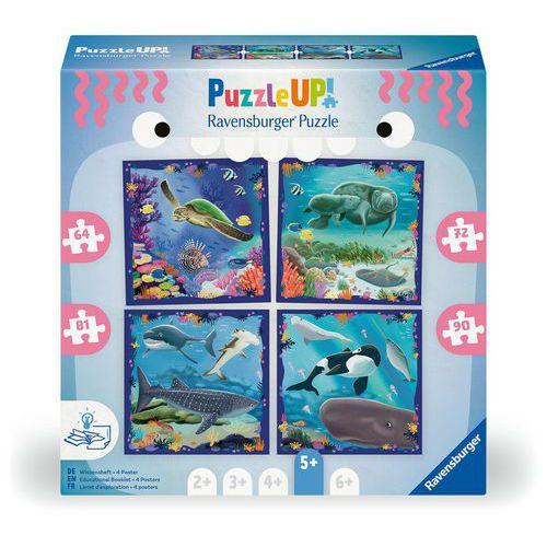 Illustration de : Puzzle Up! 5 ans les animaux marins - Ravensburger