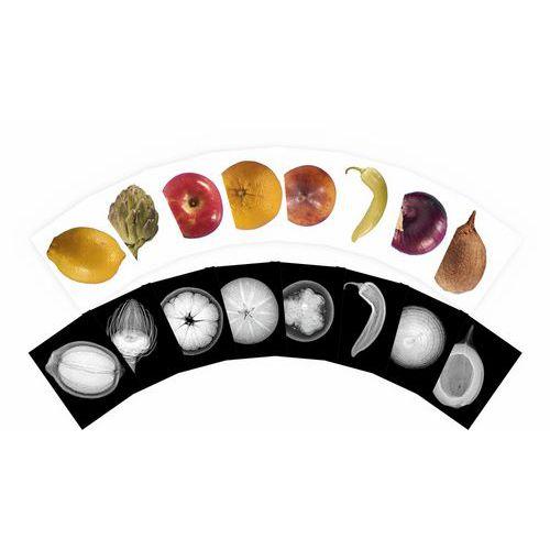 Cartes et radiographies de plantes (84 pièces) thumbnail image 1