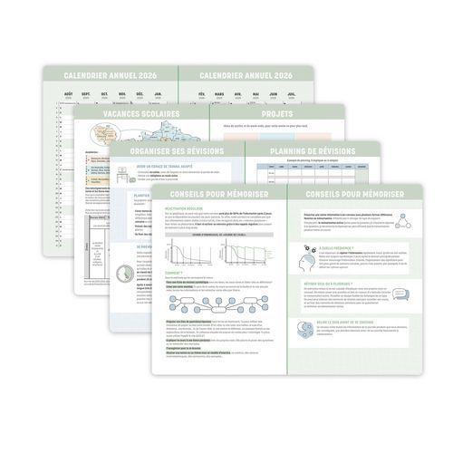 Illustration de : Agenda 15x21 cm canopy plage 12 mois d'août à juillet - Quo Vadis