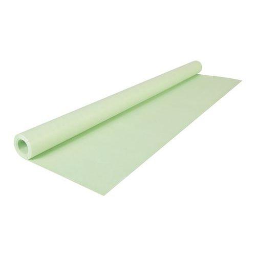 Rouleau kraft couleur 65g, 10x0,70m Vert pâle thumbnail image 1