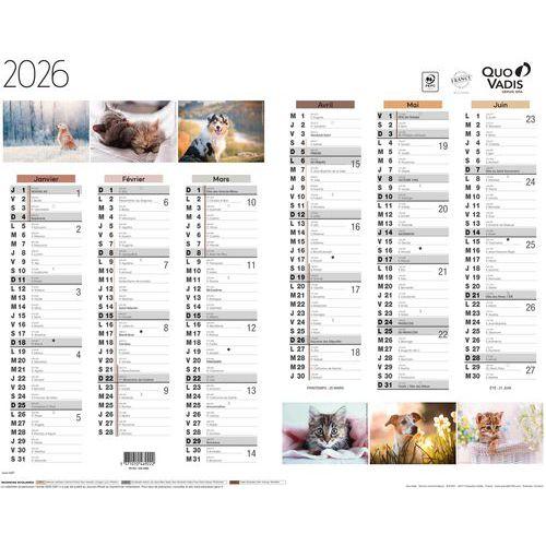 Illustration de : Calendrier 2026 Animaux Fantaisie - Quo Vadis