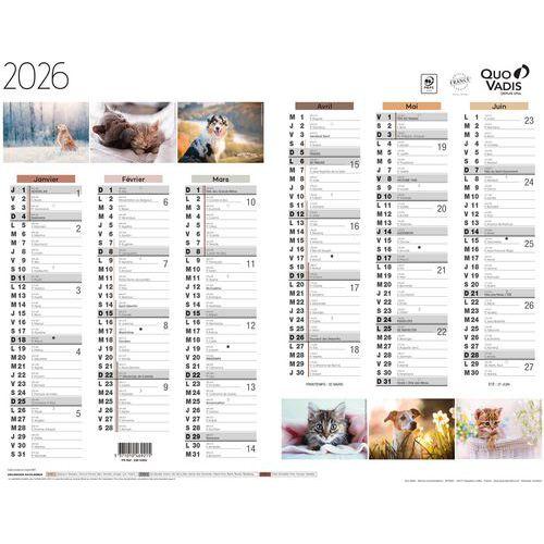Lot de 10 Calendrier 2025 FANTAISIE 27X21 animaux par 10 thumbnail image 1