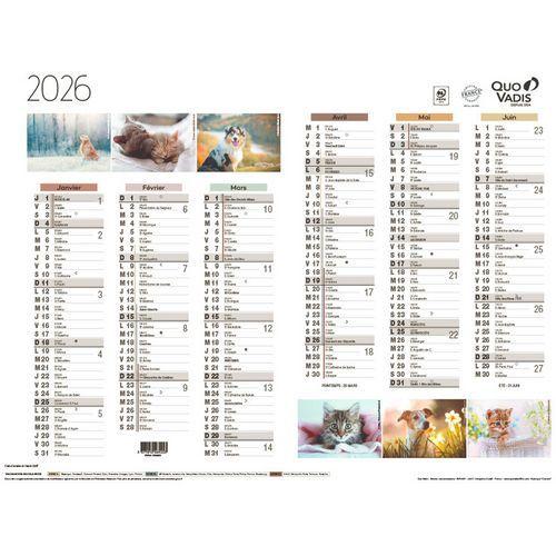 Lot de 10 Calendrier 2025 FANTAISIE 55X40,5 animaux par 10 thumbnail image 1