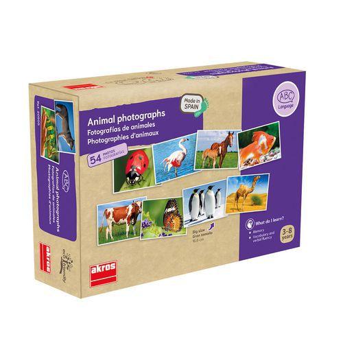 Atelier photos logiques : 'les animaux' thumbnail image 1