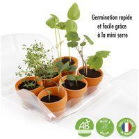 Serre de germination thumbnail image 2