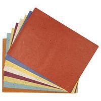 Paquet 20 feuilles papier banane 48x65 cm couleurs assorties thumbnail image 2