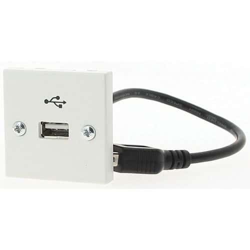 Plastron USB 20 cm Femelle-A / Femelle-A Erard D3C fullname image