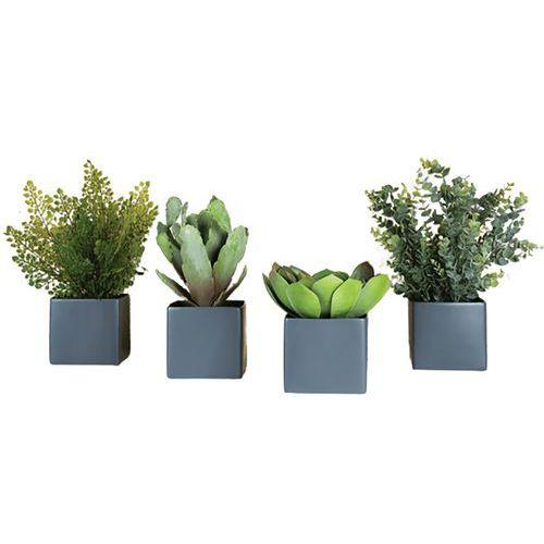 Lot de 4 pots carrés 11x11 gris 4 plantes thumbnail image 1