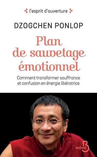 Plan de sauvetage émotionnel - Image principale