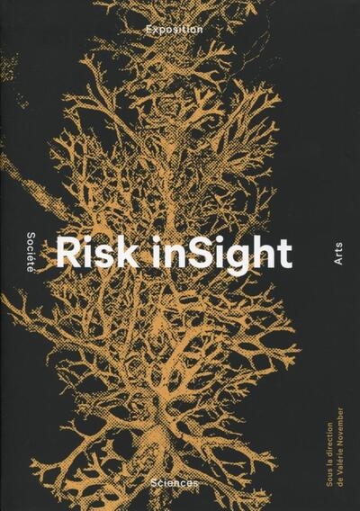 Risk insight - Image principale