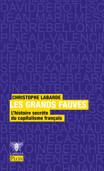 Les grands fauves - Image principale