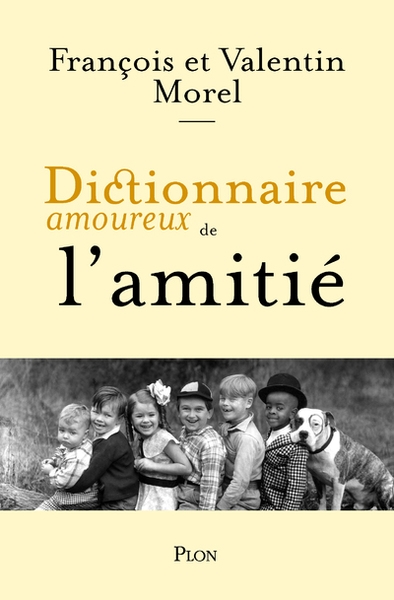 Dictionnaire amoureux de l'amitié - Image principale