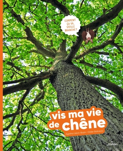 Vis ma vie de chêne - Image principale