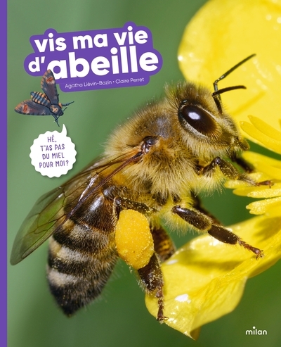 Vis ma vie d'abeille - Image principale