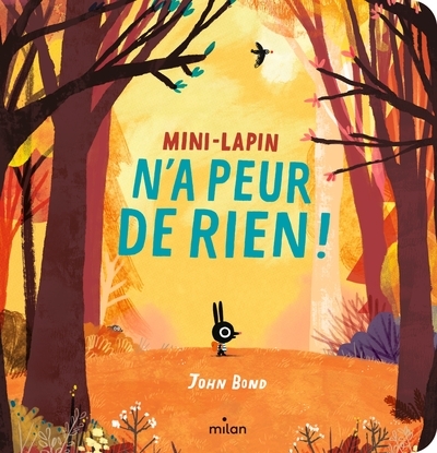 Mini-lapin n'a peur de rien (tout-carton) - Image principale
