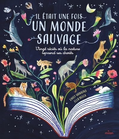 Il était une fois un monde sauvage - Image principale