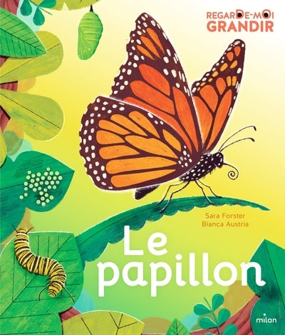 Regarde-moi grandir : le papillon - Image principale