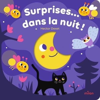 Surprises... dans la nuit ! - Image principale