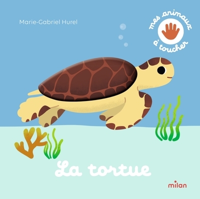 La tortue - Image principale