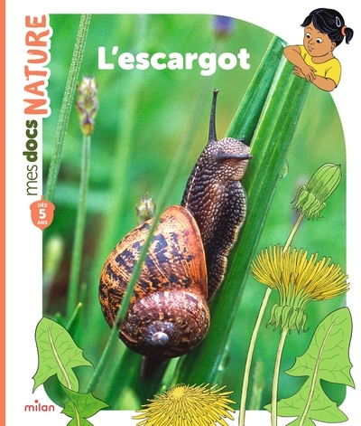 L'escargot - Image principale