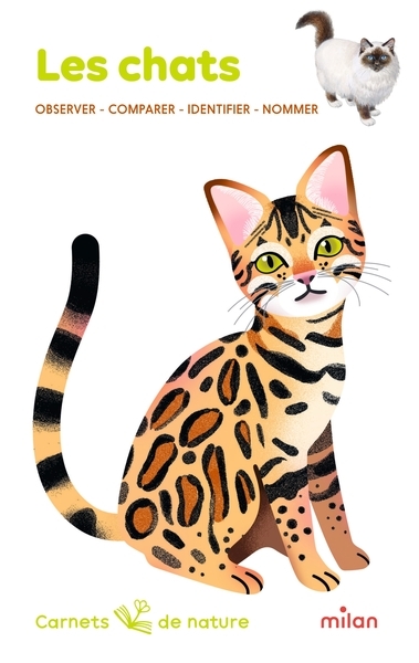 Les chats - Image principale