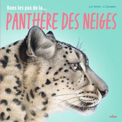 Dans les pas de la panthère des neiges - Image principale