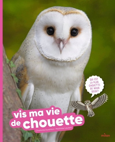 Vis ma vie de chouette - Image principale