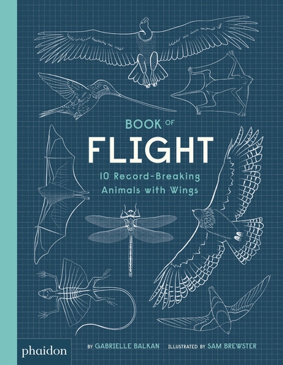 Book of flight - Image principale