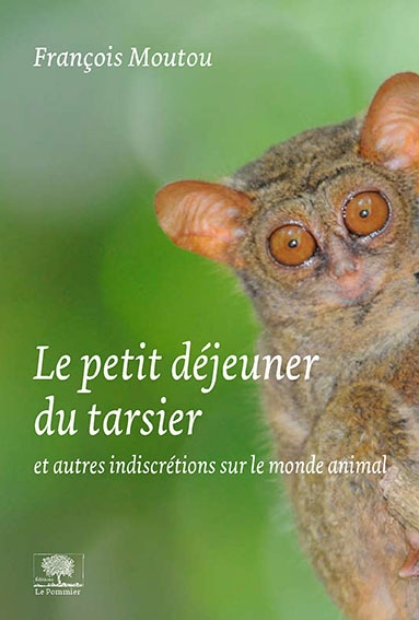 Le petit déjeuner du tarsier - Image principale