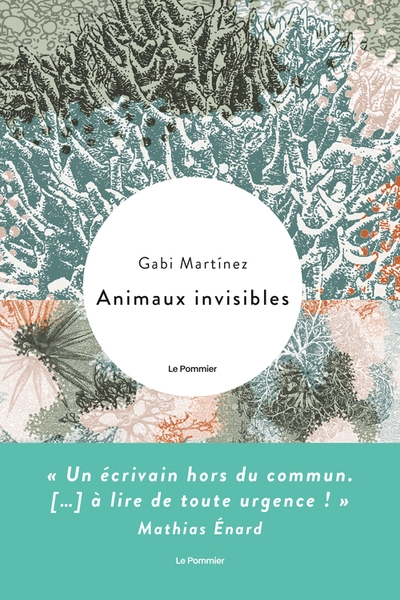 Animaux invisibles - Image principale