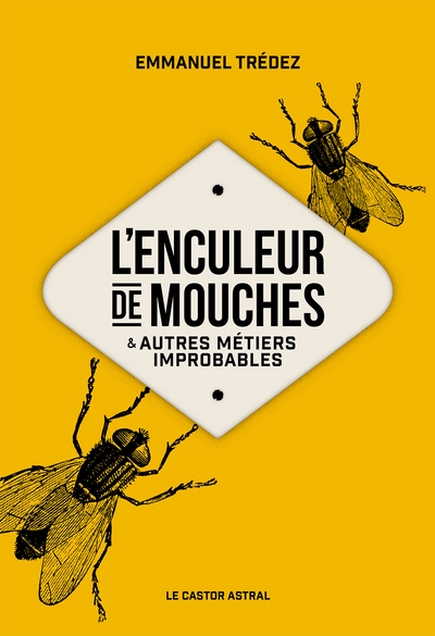L'enculeur de mouches - Image principale