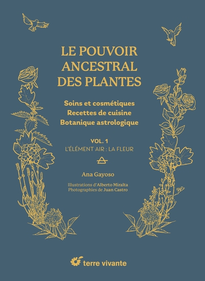 Le pouvoir ancestral des plantes - Image principale