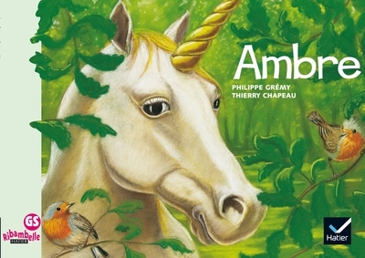 Ribambelle gs - ambre - album 4 - Image principale