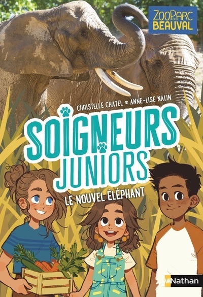 Soigneurs juniors - tome 15 le nouvel éléphant - Image principale