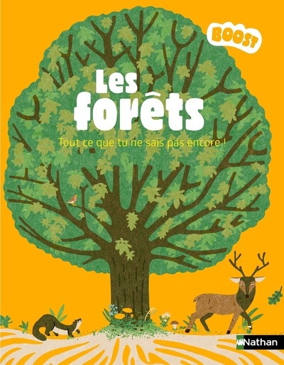 Les forêts - Image principale